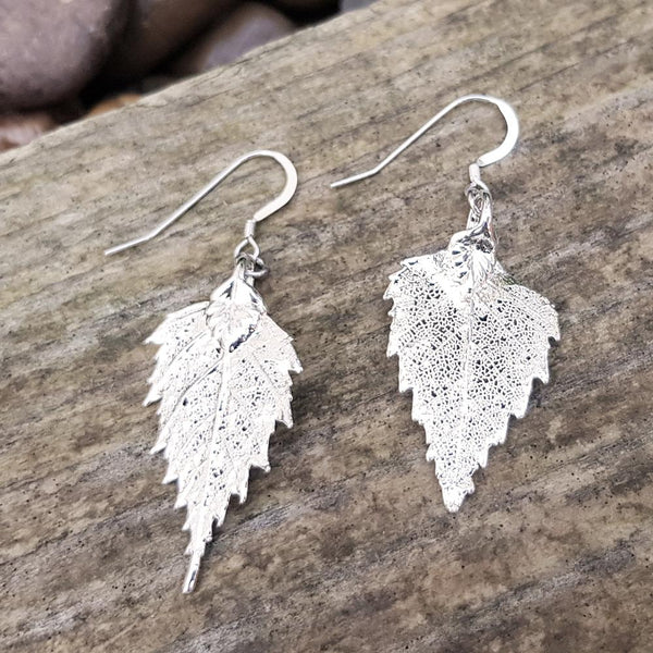 Birch Leaf Silver Plate Earrings