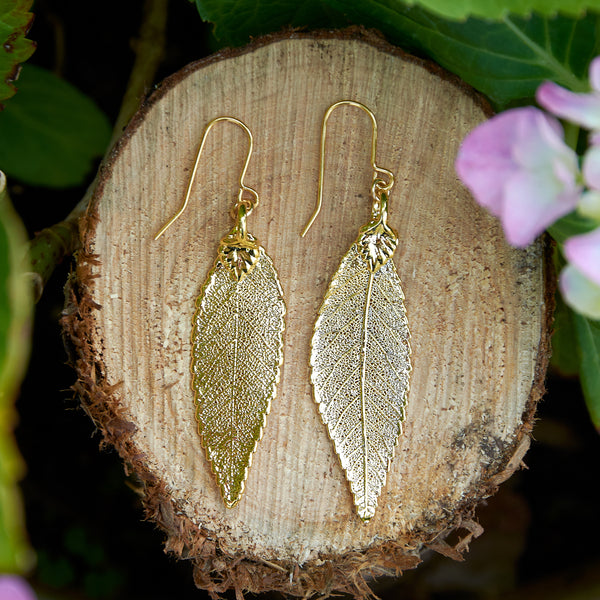 Elm Gold Plate Leaf Earrings