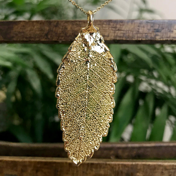 Elm Gold Plate Leaf