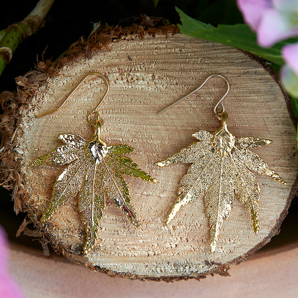 Japanese Maple Gold Plate Leaf Earrings