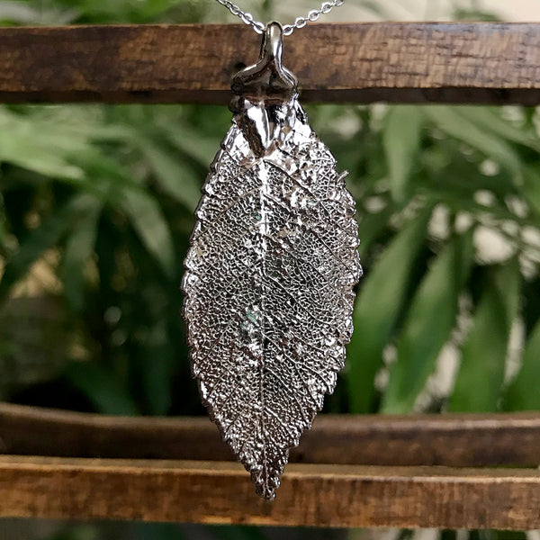 Elm Platinum Leaf