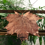 Canadian Maple Rose Gold Plate Leaf