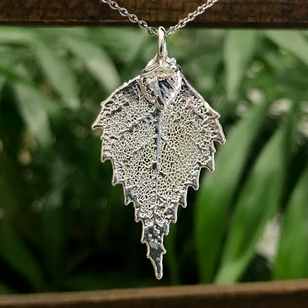 Birch Silver Plate Leaf