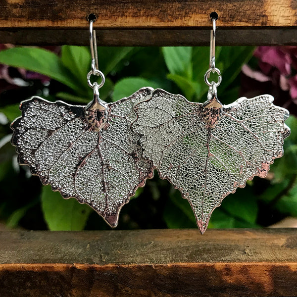 Cottonwood Silver Plate Leaf Earrings