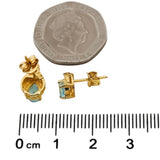 9ct Gold Aquamarine & Diamond Stud Earrings