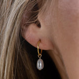 Gold Pearl Drop Earrings