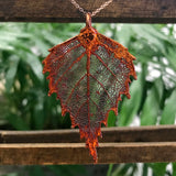 Birch Autumn Copper Leaf