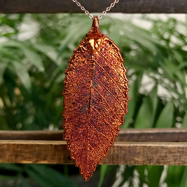 Elm Autumn Copper Leaf