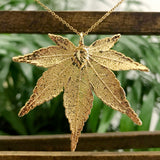 Japanese Maple Gold Plate Leaf