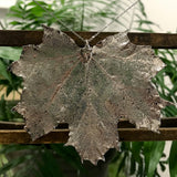Canadian Maple Platinum Leaf