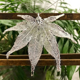 Japanese Maple Silver Plate Leaf