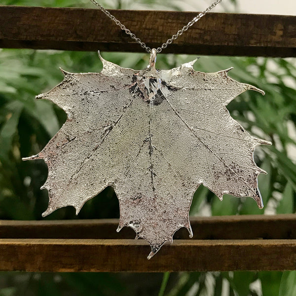 Canadian Maple Silver Plate Leaf