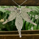Japanese Maple Silver Plate Leaf